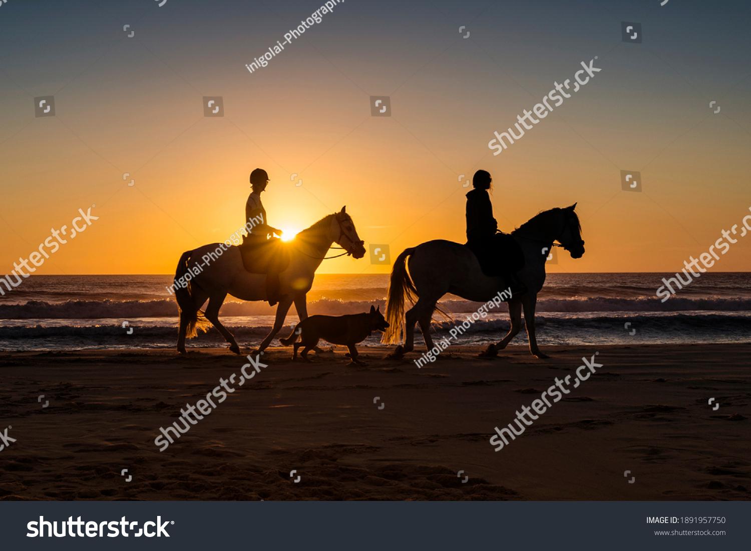 Geheimnisse des nächtlichen Reitens: Wie du und dein Pferd die Dunkelheit meistert